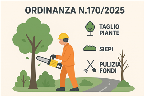Ordinanza n.170/2025